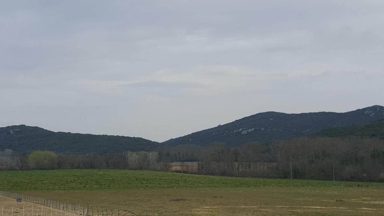 Chambres D'Hotes Au Mas Du Sire Quissac  Exteriér fotografie